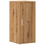 Casa si Gradina - Mobilier - Organizare si depozitare - Organizator incaltaminte - Pantofar, stejar artizanal, 32x35x70 cm lemn prelucrat, model shoe cabinet with door - Infinity.ro
