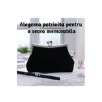 Fashion, accesorii si bijuterii - Femei - Accesorii femei - Genti si rucsacuri femei - Gentuta mica dama, Neagra - Infinity.ro