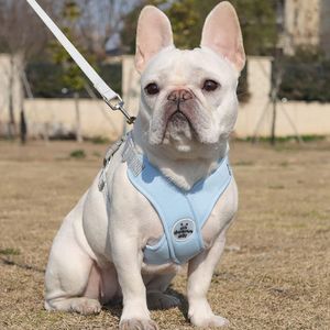 Petshop - Accesorii petshop - Zgarzi, lese si hamuri - Infinity.ro