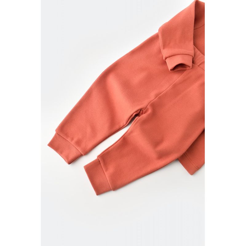 Fashion, accesorii si bijuterii - Copii - Imbracaminte copii - Treninguri si compleuri copii - Set bluzita cu maneca lunga si pantaloni lungi - bumbac organic 100% - Scortisoara, BabyCosy (Marime: 12-18 Luni) - Infinity.ro