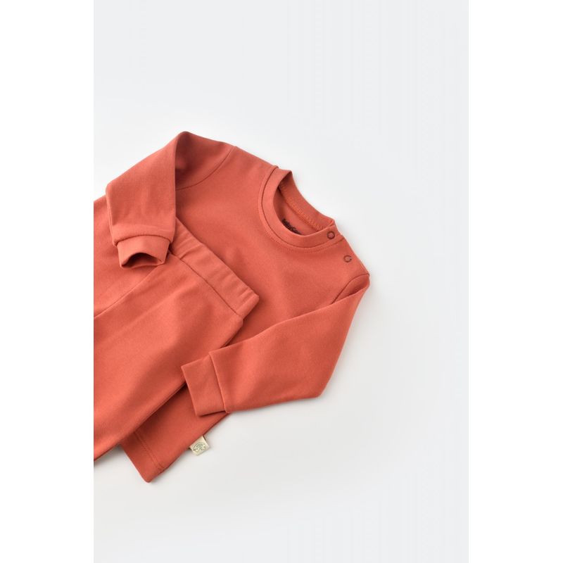 Fashion, accesorii si bijuterii - Copii - Imbracaminte copii - Treninguri si compleuri copii - Set bluzita cu maneca lunga si pantaloni lungi - bumbac organic 100% - Scortisoara, BabyCosy (Marime: 6-9 luni) - Infinity.ro