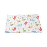 Casa si Gradina - Textile si covoare - Perne si pilote - Perne - Pernuta plata 40x60 cm model dinozauri - Infinity.ro