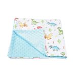 Casa si Gradina - Textile si covoare - Pături și cuverturi - Paturici copii - Paturica model dinozauri si plus minky bleu 80x80 cm - Infinity.ro