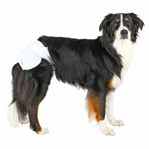 Petshop - Ingrijire si Igiena - Asternuturi si substraturi - Infinity.ro