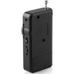 TV, Audio-Video si Foto - Portabile audio - Radio - Radio JVC RA-E311B Negru - Infinity.ro