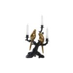 Casa si Gradina - Decoratiuni - Aromaterapie si lumanari - Suporturi lumanari - Candelabru DKD Home Decor Negru Auriu* Rasina Papagal Tropical 22,5 x 13 x 29,5 cm - Infinity.ro