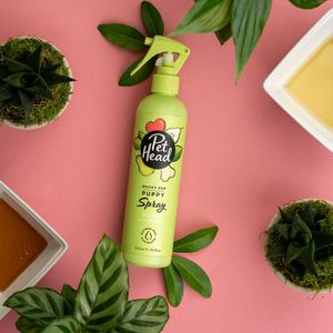 Deodorant Spray Pet Head Mucky Pup Caine Para Copil (300 ml)