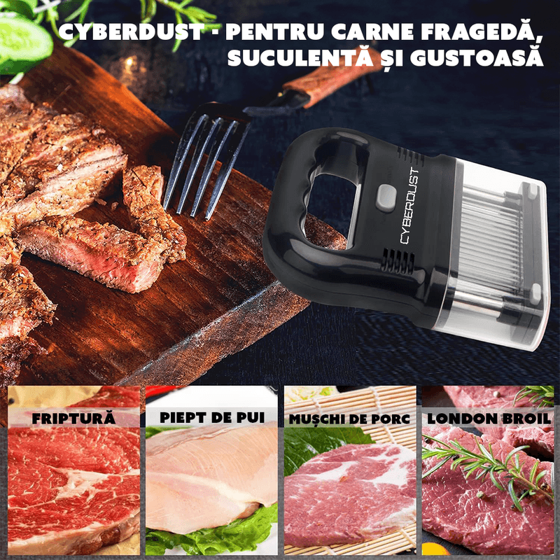 Casa si Gradina - Bucatarie si vesela - Ustensile bucatarie - Seturi ustensile de bucatarie - Dispozitiv de fragezit carne CYBERDUST, Otel inoxidabil, 48 de ace, Pentru vita, curcan, pui, friptura, vitel, porc - Infinity.ro