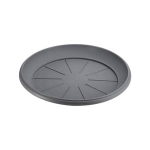 Casa si Gradina - Gradinarit si plante - Plante si ghivece - Infinity.ro