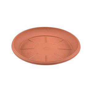 Casa si Gradina - Gradinarit si plante - Infinity.ro