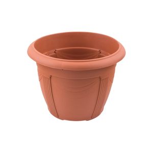 Casa si Gradina - Gradinarit si plante - Infinity.ro