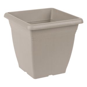 Casa si Gradina - Gradinarit si plante - Plante si ghivece - Infinity.ro