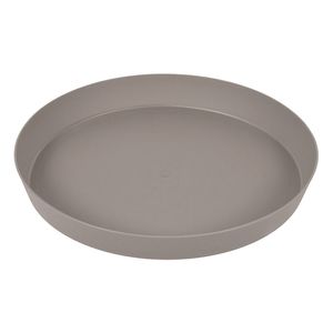 Casa si Gradina - Gradinarit si plante - Infinity.ro