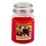 Casa si Gradina - Decoratiuni - Aromaterapie si lumanari - Lumanari si candele - Lumanare parfumata, spiced vanilla, aroma condimente si vanilie, timp ardere 65 ore, rosu, sticla - Infinity.ro