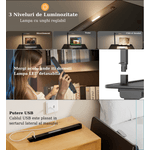 Laptop, Telefoane si Tablete - Laptopuri si accesorii - Accesorii Laptop - Standuri/Coolere notebook - Masuta Laptop Multifunctionala Saiji, 600mm x 450mm, 4 Unghiuri de Reglare Suprafata, 5 Nivele de Inaltime Reglabile - Infinity.ro