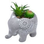 Casa si Gradina - Decoratiuni - Obiecte decorative - Plante artificiale - Ghiveci decorativ, etnic, elefant, planta artificiala, ceramica, 15 x 10x 13cm - Infinity.ro