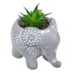 Casa si Gradina - Decoratiuni - Obiecte decorative - Plante artificiale - Ghiveci decorativ, etnic, elefant, planta artificiala, ceramica, 15 x 10x 13cm - Infinity.ro