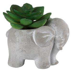 Casa si Gradina - Decoratiuni - Obiecte decorative - Infinity.ro