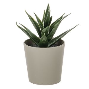 Casa si Gradina - Decoratiuni - Obiecte decorative - Infinity.ro