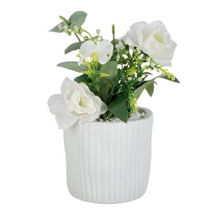 Casa si Gradina - Decoratiuni - Obiecte decorative - Infinity.ro