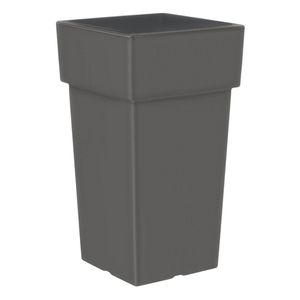 Casa si Gradina - Gradinarit si plante - Infinity.ro