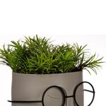 Casa si Gradina - Gradinarit si plante - Plante si ghivece - Plante in ghiveci - Ghiveci decorativ fata cu ochelari, plastic, bej, 11 x 11 x 14cm, planta artificiala - Infinity.ro