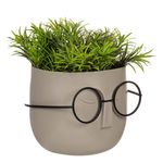 Casa si Gradina - Gradinarit si plante - Plante si ghivece - Plante in ghiveci - Ghiveci decorativ fata cu ochelari, plastic, bej, 11 x 11 x 14cm, planta artificiala - Infinity.ro