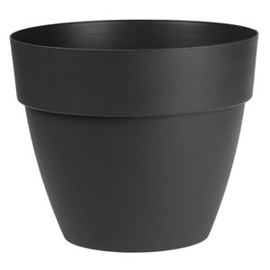 Casa si Gradina - Gradinarit si plante - Plante si ghivece - Infinity.ro