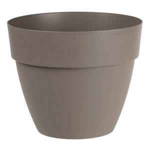 Casa si Gradina - Gradinarit si plante - Plante si ghivece - Infinity.ro