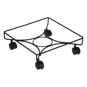 Casa si Gradina - Gradinarit si plante - Plante si ghivece - Infinity.ro