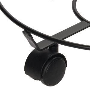 Casa si Gradina - Gradinarit si plante - Plante si ghivece - Infinity.ro