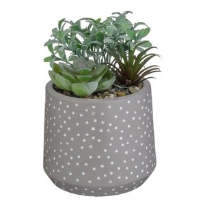 Casa si Gradina - Decoratiuni - Obiecte decorative - Infinity.ro