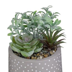 Casa si Gradina - Decoratiuni - Obiecte decorative - Infinity.ro