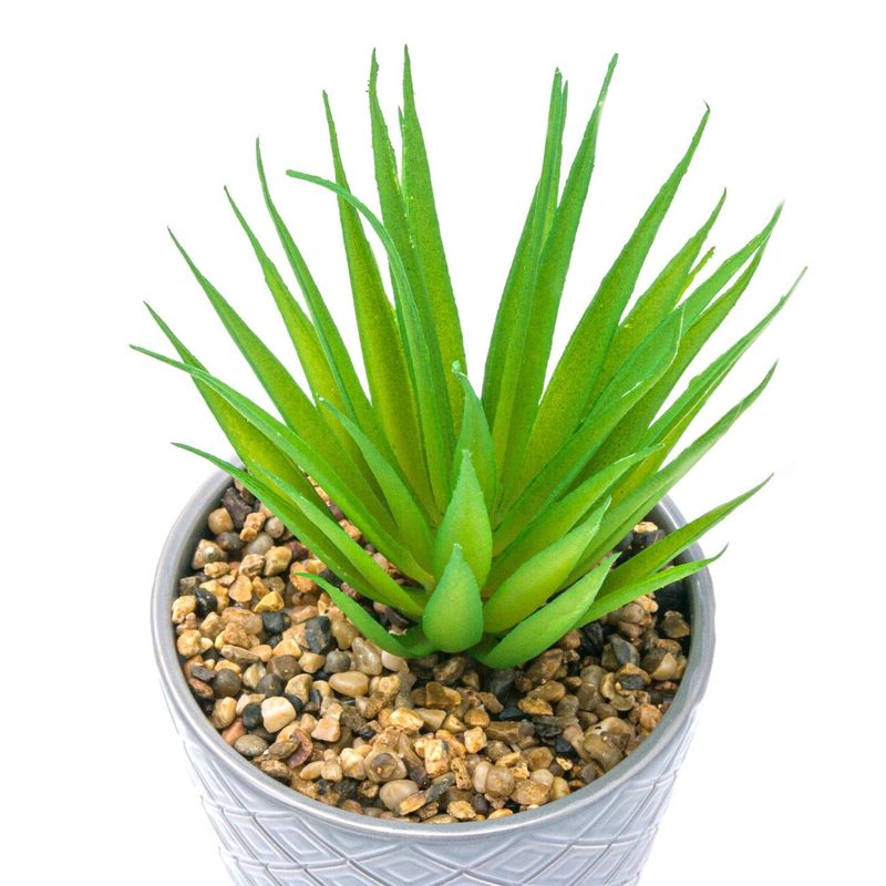 Casa si Gradina - Decoratiuni - Obiecte decorative - Plante artificiale - Ghiveci ceramic, model gri, planta artificiala cactus, 19cm - Infinity.ro