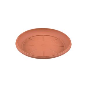 Casa si Gradina - Gradinarit si plante - Plante si ghivece - Infinity.ro