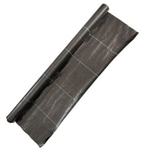 Casa si Gradina - Gradinarit si plante - Sere si solarii - Infinity.ro