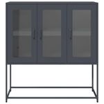 Casa si Gradina - Mobilier - Comode si corpuri - Comode - Dulap, antracit, 100,5x39x107 cm, otel laminat la rece - Infinity.ro