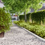 Casa si Gradina - Gradina si terasa - Garduri, panouri si accesorii - Borduri de gazon 50 buc Alb 10x103 cm Otel laminat la rece - Infinity.ro