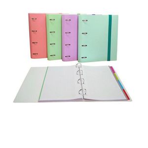 Biblioraft SENFORT Multicolor A4