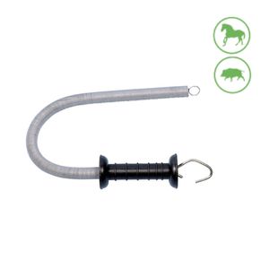 Usa de acces Pastormatic dfv-32 Gard