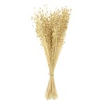 Casa si Gradina - Decoratiuni - Obiecte decorative - Plante artificiale - Buchet decorativ, crengute artificiale, boboci crem, 50cm - Infinity.ro