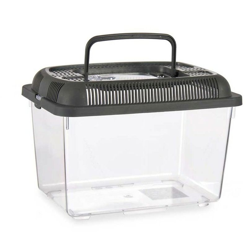 Petshop - Accesorii petshop - Acvaristica si teraristica - Acvarii si terarii - Acvariu Cu maner Среда Antracit Plastic 3 L 17 x 16 x 24 cm (12 Unitati) - Infinity.ro