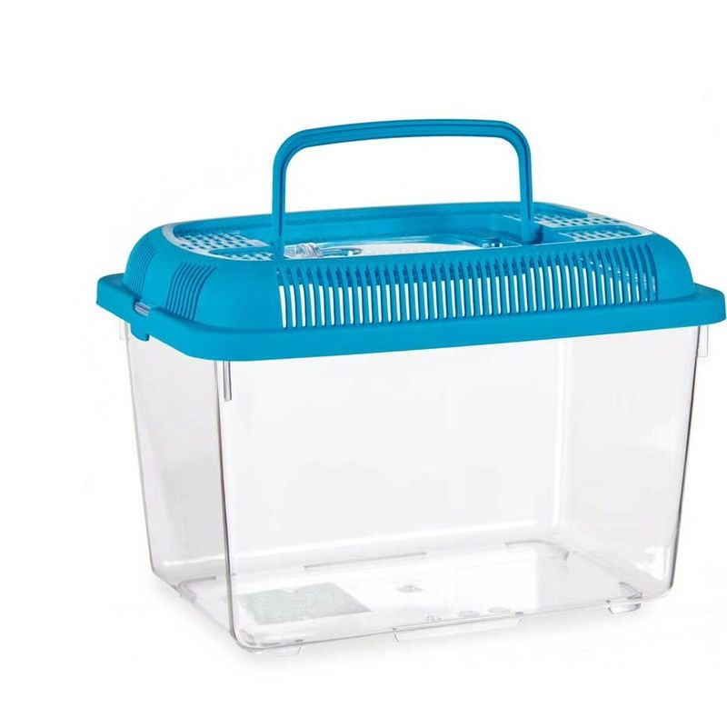 Petshop - Accesorii petshop - Acvaristica si teraristica - Acvarii si terarii - Acvariu Cu maner Mare Albastru Plastic 7 L 20 x 20 x 30 cm (8 Unitati) - Infinity.ro
