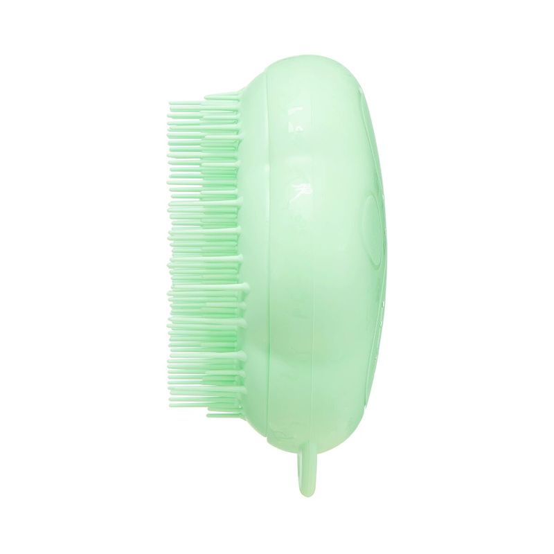 Petshop - Ingrijire si Igiena - Produse uz extern - Perii si manusi - Perie Tangle Teezer   Animale de Companie Verde - Infinity.ro