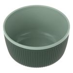 Casa si Gradina - Bucatarie si vesela - Vesela si tacamuri - Farfurii si boluri - Bol plastic, verde menta, dungi, capacitate 0,52l - Infinity.ro