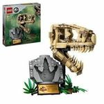Jucarii, Copii si Bebe - Jucarii si jocuri - Figurine - Playset Lego 76964 Jurassic World Dinosaur Fossils - Infinity.ro