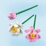 Jucarii, Copii si Bebe - Jucarii si jocuri - Figurine - Playset Lego 40647 Lotus Flower - Infinity.ro