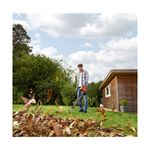 Casa si Gradina - Gradinarit si plante - Utilaje gradina - Aspiratoare, suflante si tocatoare - Suflanta Black & Decker BEBLV260-QS - Infinity.ro