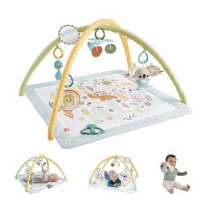 Fisher price salteluta de activitati