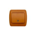 Casa si Gradina - Electrice - Distributie electrica si comanda - Intrerupatoare - Zirve Intrerupator LED ST Stejar - Infinity.ro